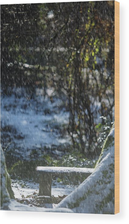 Bench Wood Print featuring the photograph Bench in Snow by Rebecca Cozart