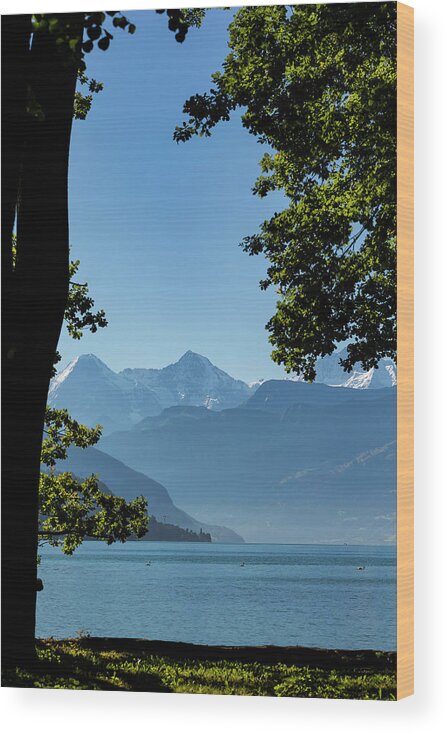 Eiger Wood Print featuring the photograph Bernese Oberland by Andy Myatt
