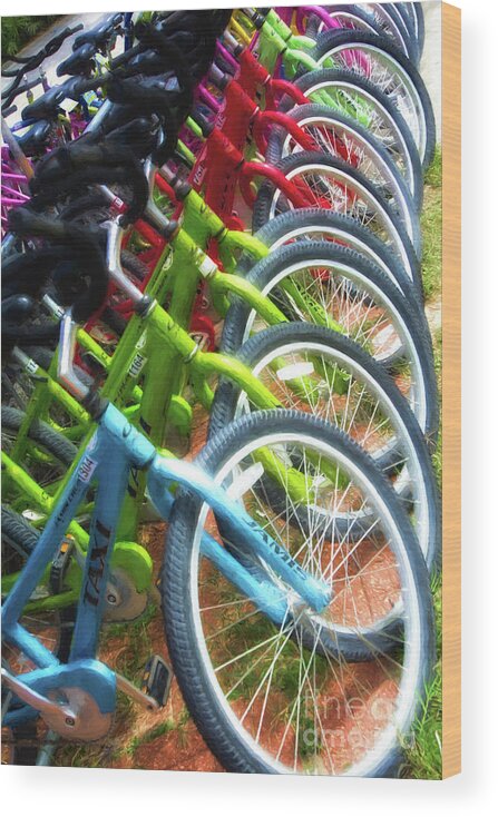 Bicycles On Florida County Road 30a Wood Print featuring the photograph Bicycles On Florida County Road 30-A by Mel Steinhauer