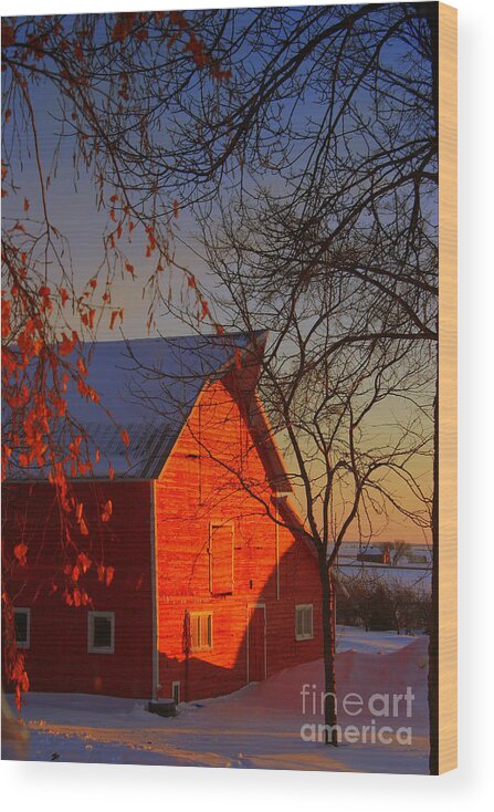 Barn Wood Print featuring the photograph Big red barn by Julie Lueders 