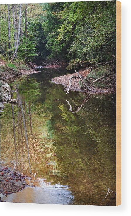 Elliott County Wood Print featuring the photograph Binion Ford by Randall Evans