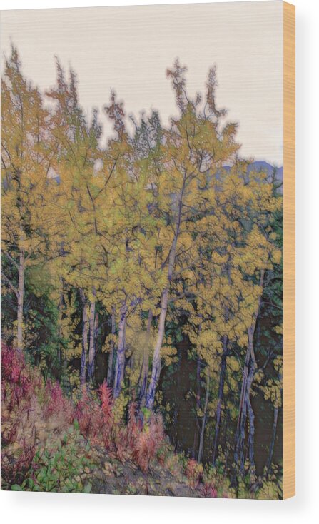 Birch Wood Print featuring the photograph Birch Trees #2 by Patricia Dennis
