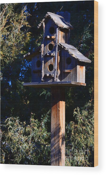 Rustic Wood Print featuring the photograph Bird Condos by Robert WK Clark