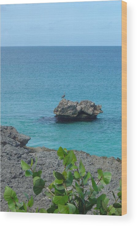 Bird Wood Print featuring the photograph Bird on a rock by Patty Vicknair