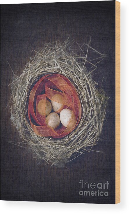 Bird Wood Print featuring the photograph Bird's nest with eggs and ribbon by Clayton Bastiani
