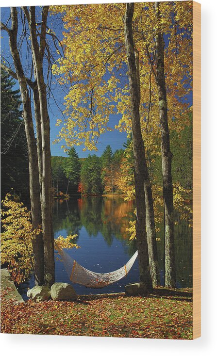 New England Fall Wood Print featuring the photograph Bliss - New England Fall Landscape hammock by Jon Holiday