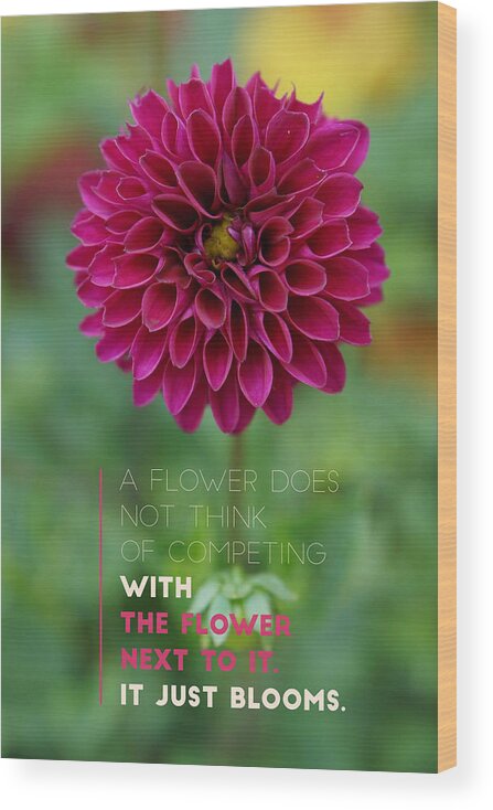 #flower Wood Print featuring the photograph Blooming Dahlia by Rebekah Zivicki