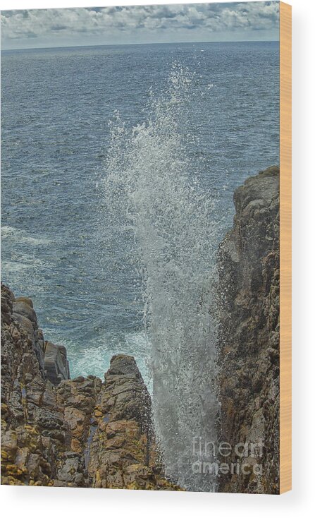 Action Wood Print featuring the photograph Blow hole - Natural fountain in Hummanaya, Sri Lanka by Patricia Hofmeester