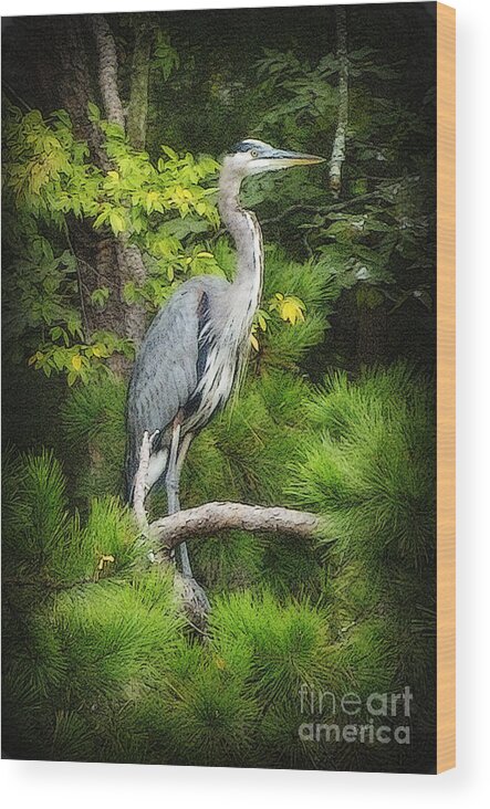 Heron Wood Print featuring the photograph Blue Heron by Lydia Holly