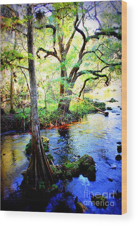 Florida Wood Print featuring the photograph Blues in Florida Swamp by Carol Groenen