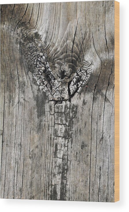 Wood Wood Print featuring the photograph Boardwalk Cobra by Mary Bedy