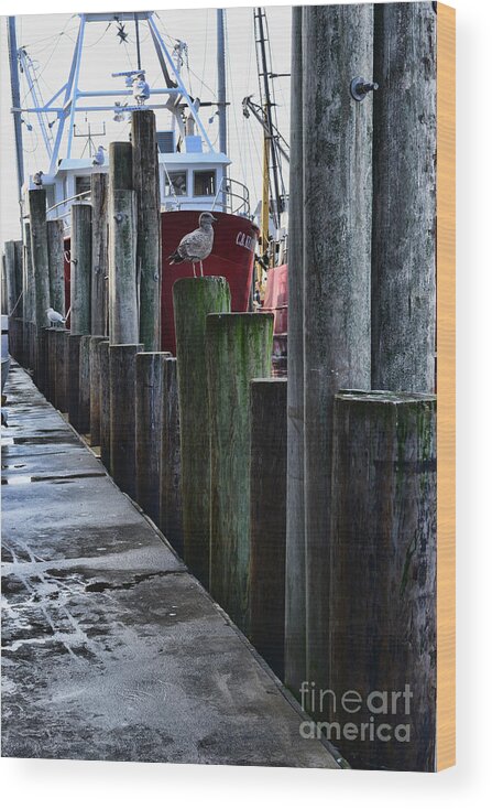 Paul Ward Wood Print featuring the photograph Boat Docks by Paul Ward