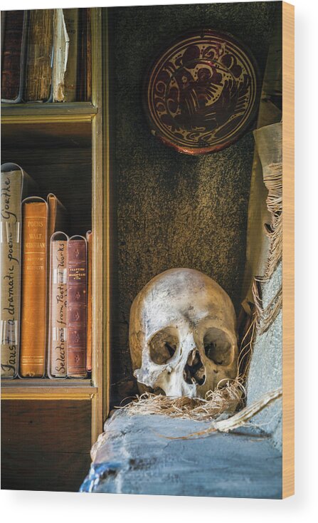 Bookcase Wood Print featuring the photograph Bookcase Skull by Jack Nevitt