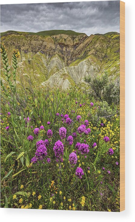 Blm Wood Print featuring the photograph Bouquet by Peter Tellone