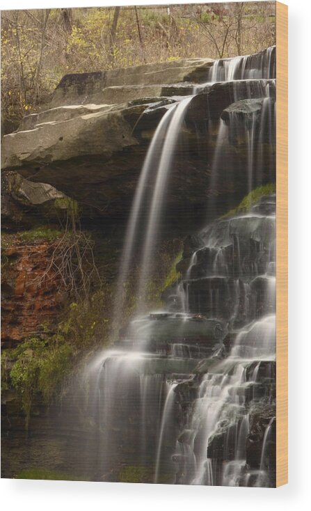  Waterfall Wood Print featuring the photograph Brandywine Falls Vertical by Ann Bridges