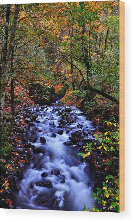Stream Wood Print featuring the photograph Bridal Veil Creek by Noah Cole