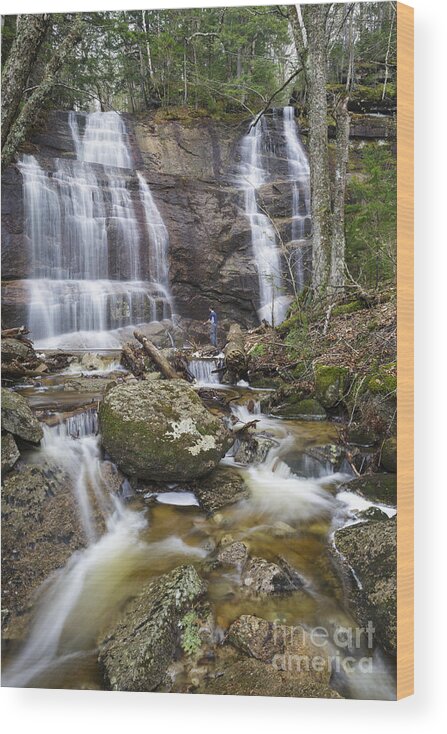 Bridesmaid Falls Wood Print featuring the photograph Bridesmaid Falls - Franconia New Hampshire by Erin Paul Donovan