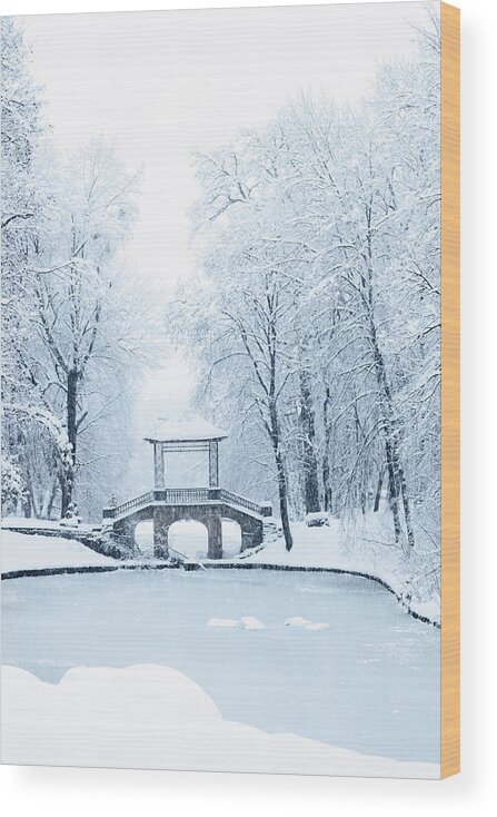 Iuliia Malivanchuk Wood Print featuring the photograph bridge for lovers by Iuliia Malivanchuk by Iuliia Malivanchuk
