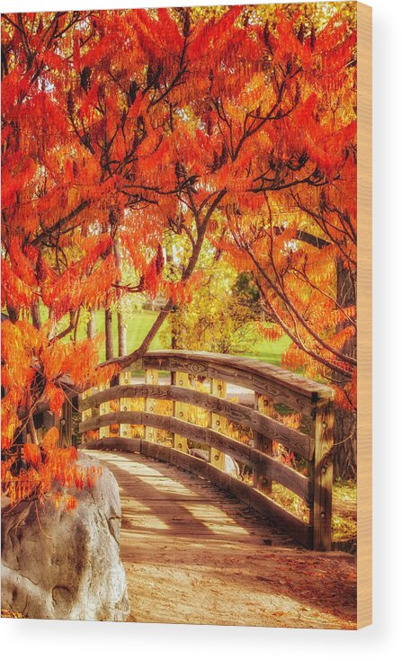 Colorado Wood Print featuring the photograph Bridge of Fall by Kristal Kraft