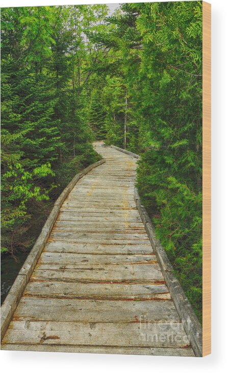 Chimney Pond Hiking Trail Wood Print featuring the photograph Bridge to Chimney Pond by Elizabeth Dow