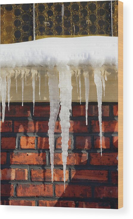 Icicles. Snow Wood Print featuring the photograph Brrrrr by Cate Franklyn