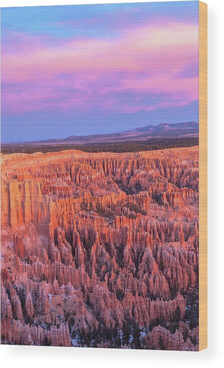 Bryce Canyon National Park Wood Print featuring the photograph Bryce at Sunrise by Jonathan Nguyen