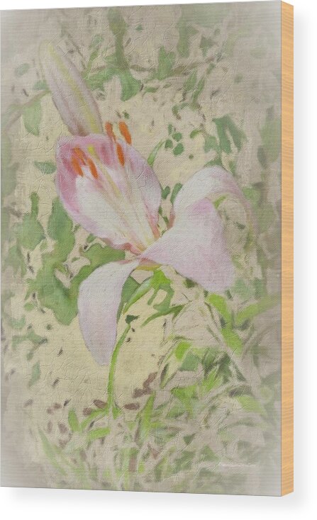 Lily Wood Print featuring the photograph Bud n Lily Blossom by Diane Lindon Coy