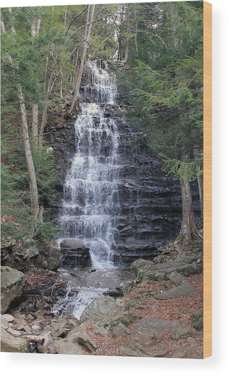 Buttermilk Falls Wood Print featuring the photograph Buttermilk Falls by Jackson Pearson