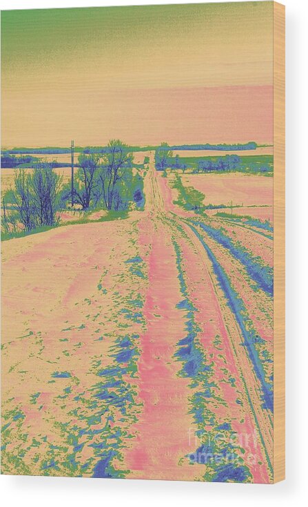 Landscape Wood Print featuring the photograph Candy Land by Julie Lueders 