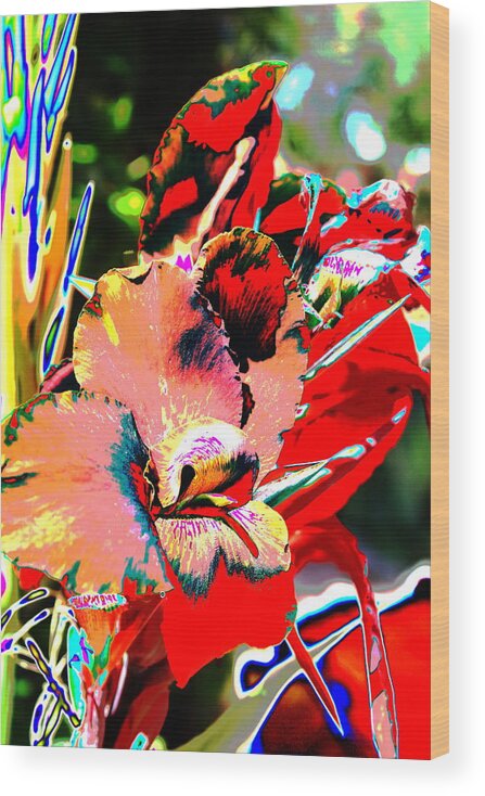Floral Wood Print featuring the photograph Canna Abstract 7 by M Diane Bonaparte