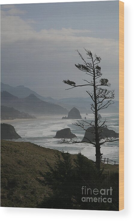 Cannon Beach Wood Print featuring the photograph Cannon Beach by Timothy Johnson