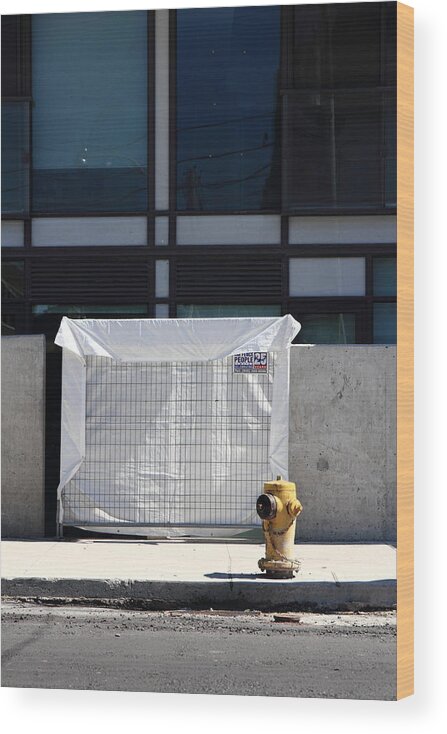 Urban Wood Print featuring the photograph Canvas And Hydrant by Kreddible Trout