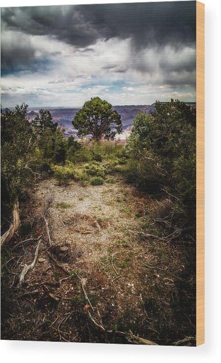 Arizona Wood Print featuring the photograph Canyon Sentinel by Jason Roberts