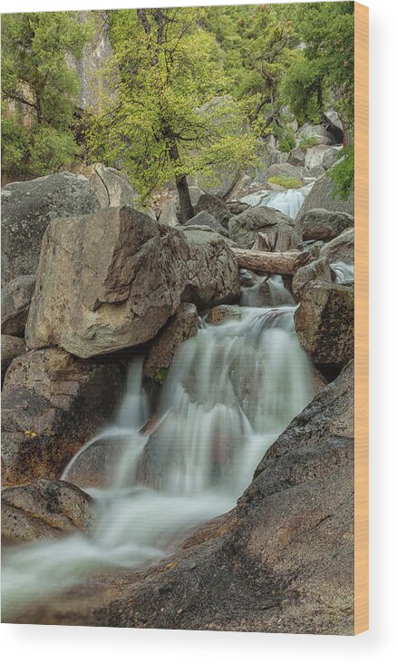 Landscape Wood Print featuring the photograph Cascade 2 by Jonathan Nguyen