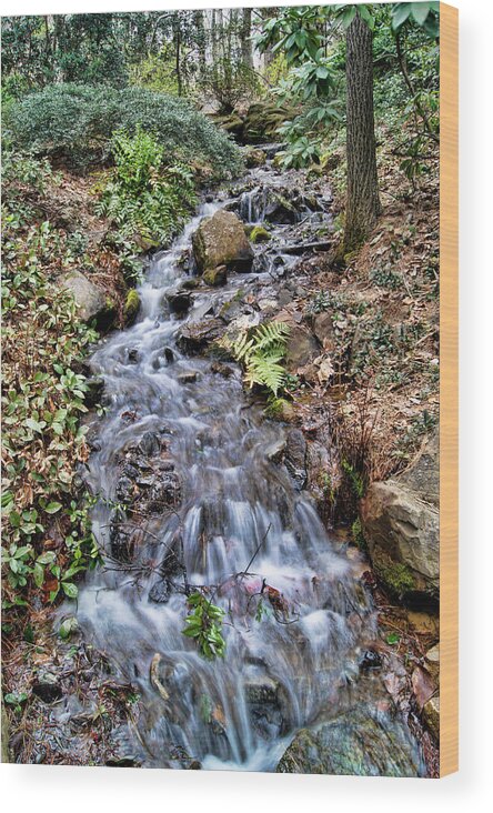 Water Wood Print featuring the photograph Cascading Water by Cricket Hackmann