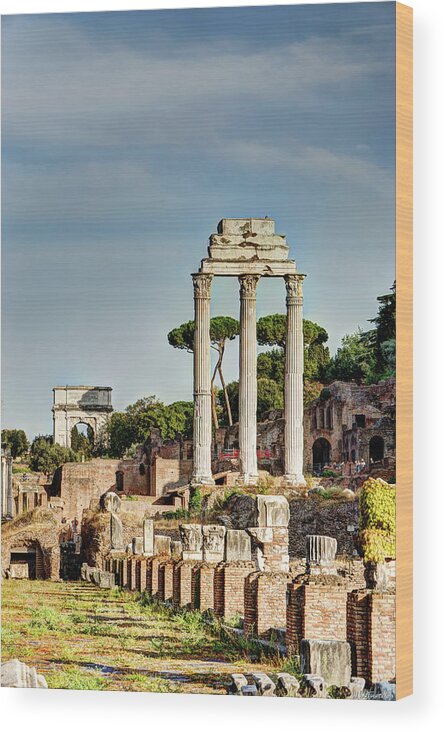 Forum Wood Print featuring the photograph Castor Pollux and Titus by Weston Westmoreland