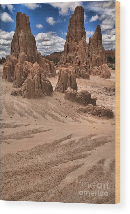 Cathedral Gorge Wood Print featuring the photograph Cathedral Gorge Towers Portrait by Adam Jewell