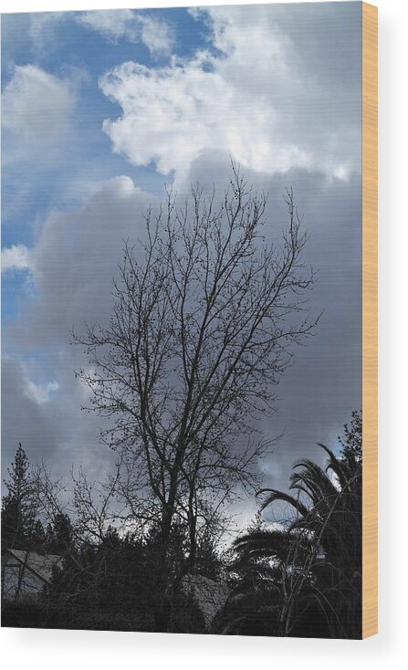 Landscape Wood Print featuring the photograph Caught Between the Storms by Michele Myers