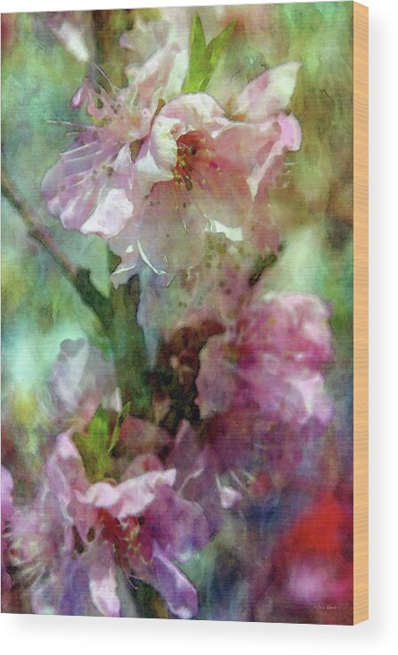 Impressionism Wood Print featuring the photograph Cherry Blossoms 9309 IDP_2 by Steven Ward