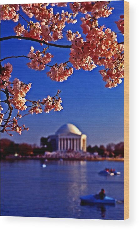Flowers Wood Print featuring the photograph Cherry blossoms on the tidal basin by Bill Jonscher