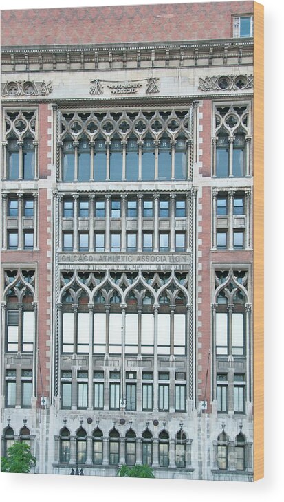 Chicago Wood Print featuring the photograph Chicago Athletic Association by David Levin