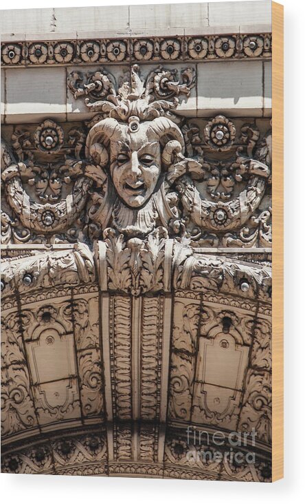 Art Wood Print featuring the photograph Chicago Theater Jester by David Levin