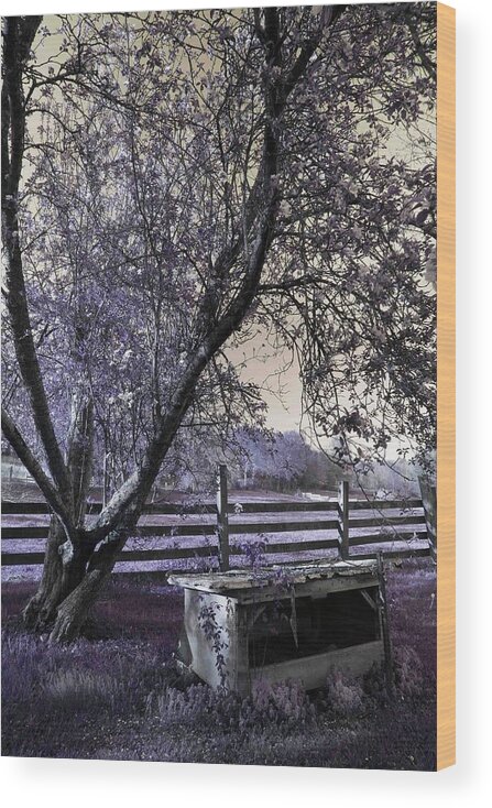 Rural Scene Wood Print featuring the photograph Childhood Dreams by Mike Eingle