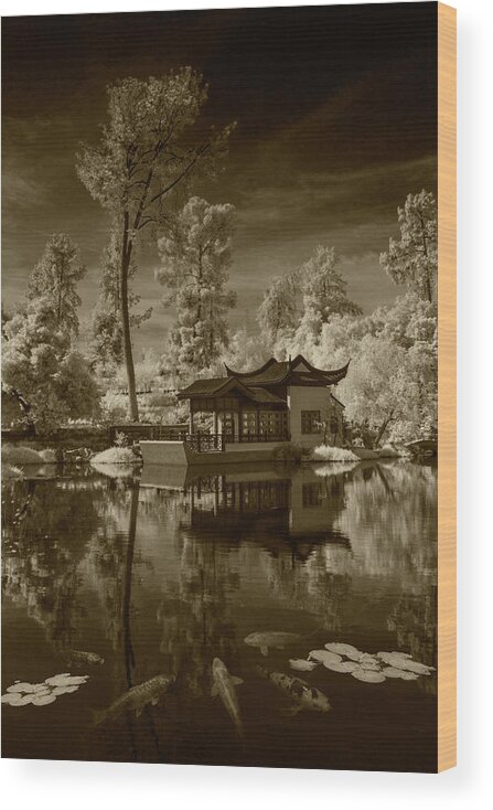 Garden Wood Print featuring the photograph Chinese Botanical Garden in California with Koi Fish in Sepia Tone by Randall Nyhof