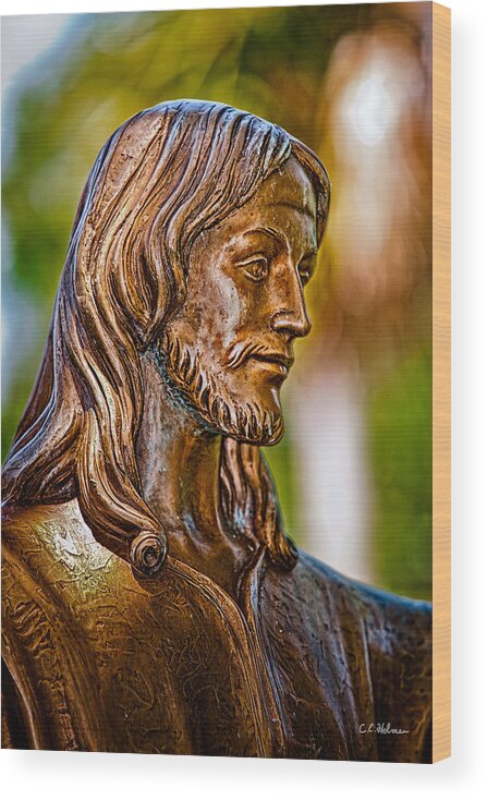 Statue Wood Print featuring the photograph Christ in Bronze by Christopher Holmes