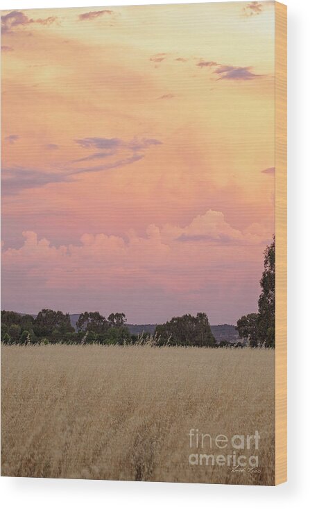 Sunset Wood Print featuring the photograph Christmas Eve in Australia by Linda Lees