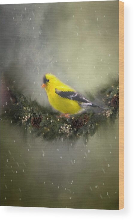 Gold Finch Wood Print featuring the photograph Christmas Finch by Mary Timman