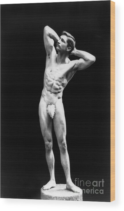 Erotica Wood Print featuring the photograph Classical Pose, Nude Male Model, 1893 by Science Source