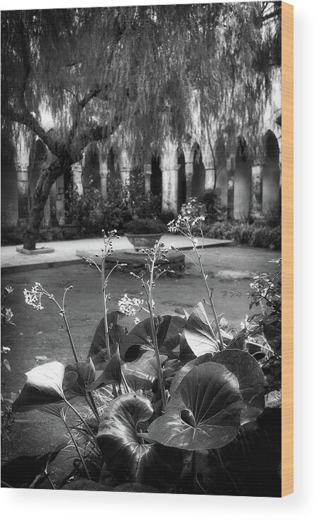 Black And White Wood Print featuring the photograph Cloisters at Chiesa di San Francesco by Allan Van Gasbeck