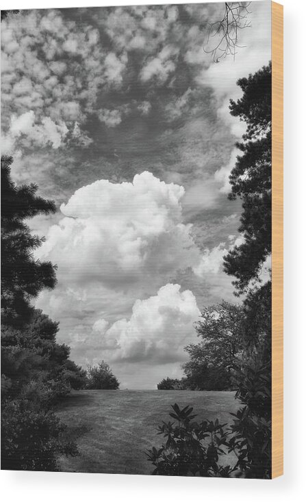 Clouds Wood Print featuring the photograph Clouds Illusions by Jessica Jenney